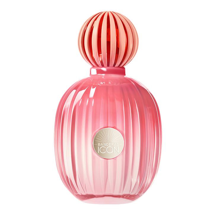 The Icon Splendid EDP 100 ml 